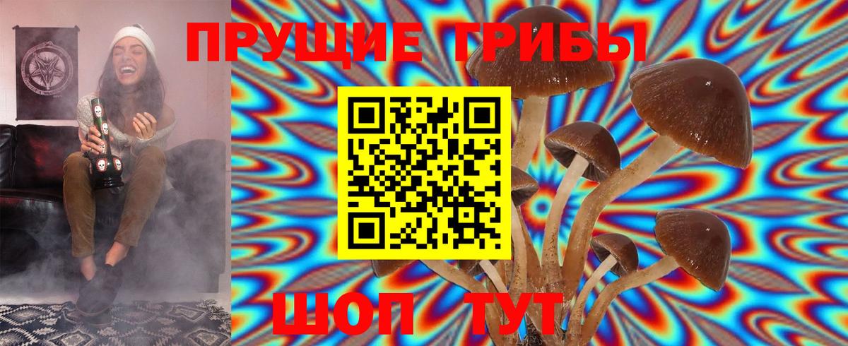 Галлюциногенные грибы ЛСД  Псилоцибиновые грибы Psilocybe  купить   Вход с VPN  Сокол 